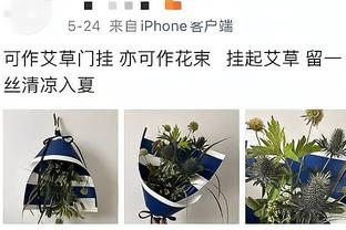 伤不起了！琼斯受伤离场，赫拉芬贝赫替补登场